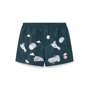 Metaphysical Swim Shorts