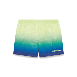 Gradient Swim Shorts