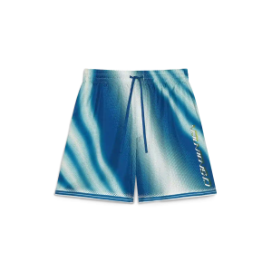 The Art Of The Serve Silk Shorts