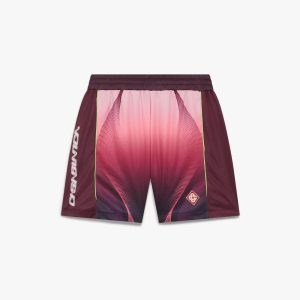 Aubergine Gradient Football Shorts