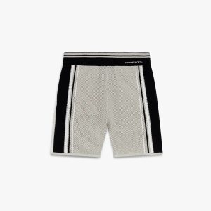 Metallic Mesh Stripe Shorts