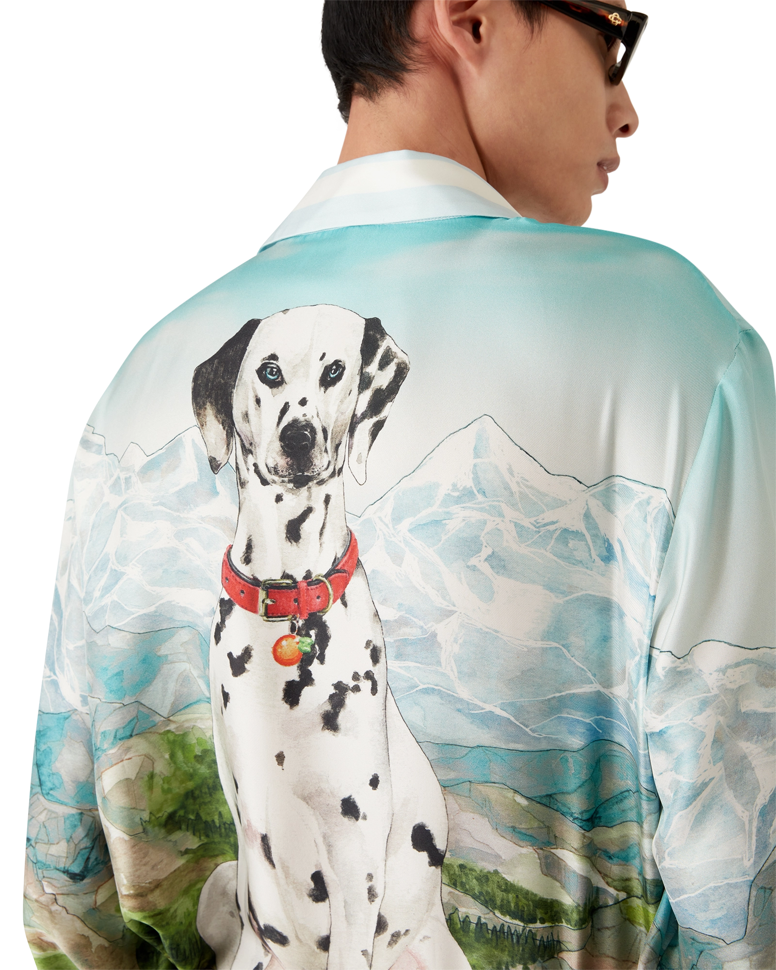 Dalmatian A La Montange Long Sleeve Silk Shirt - Image 9