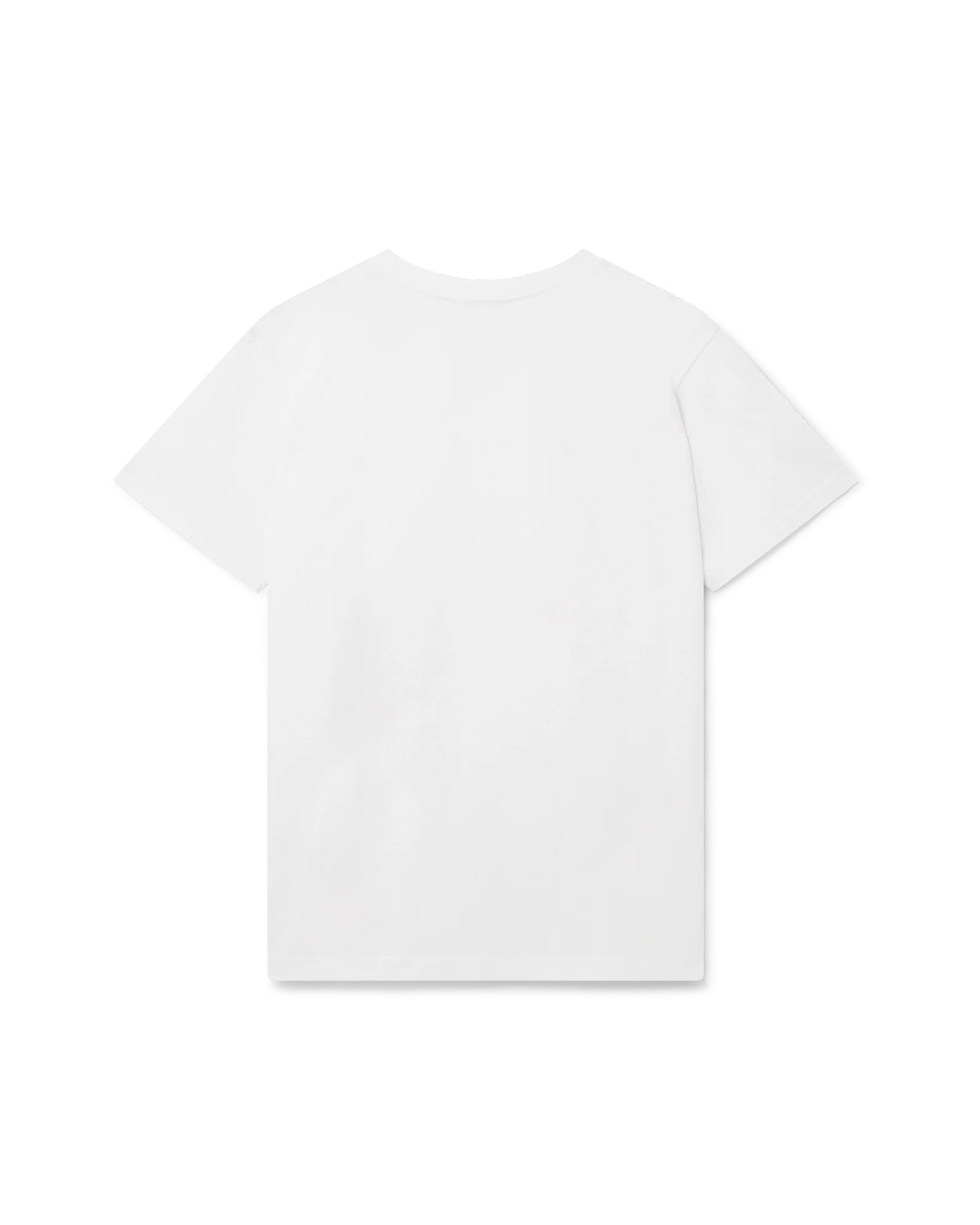 Casa Turtle Short Sleeve T-Shirt - Image 2