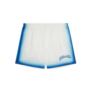 Blue Fade Swim Shorts